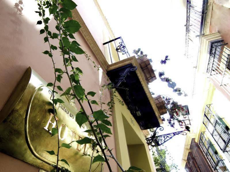 Un Patio En Santa Cruz